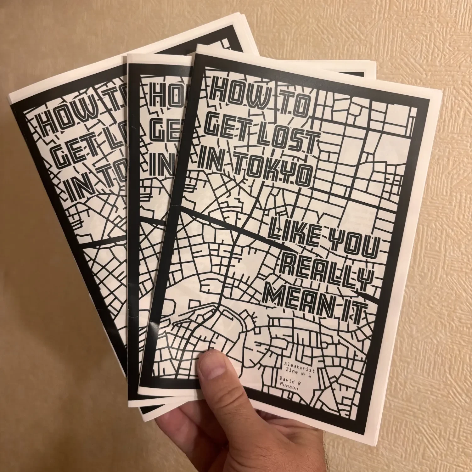 Physical copies of the zine, made by me